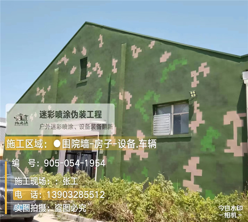 合肥外墙数码迷彩漆施工报价清单(100㎡标准墙面测算)